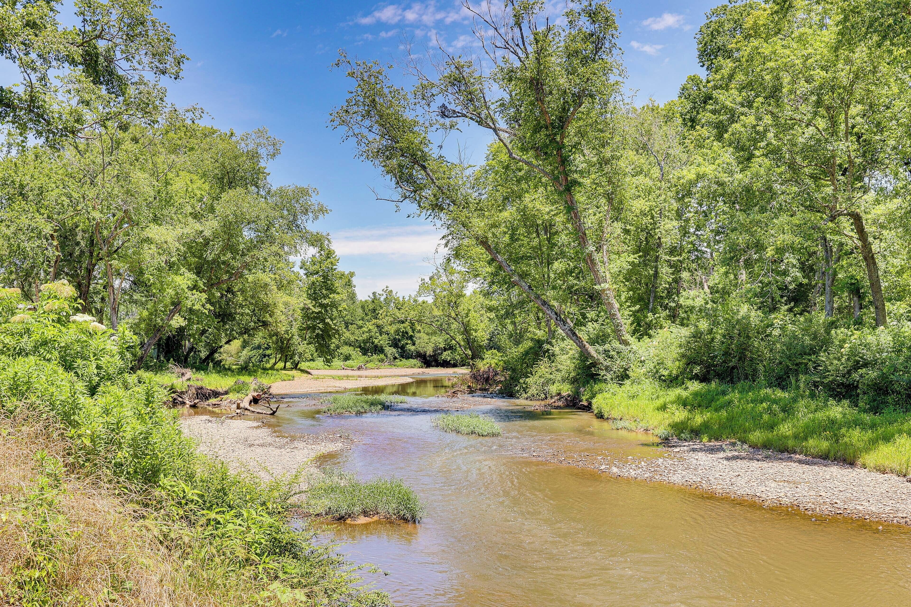 A river flowing through a forested area with dense trees and greenery.