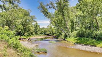 A river flowing through a forested area with dense trees and greenery.