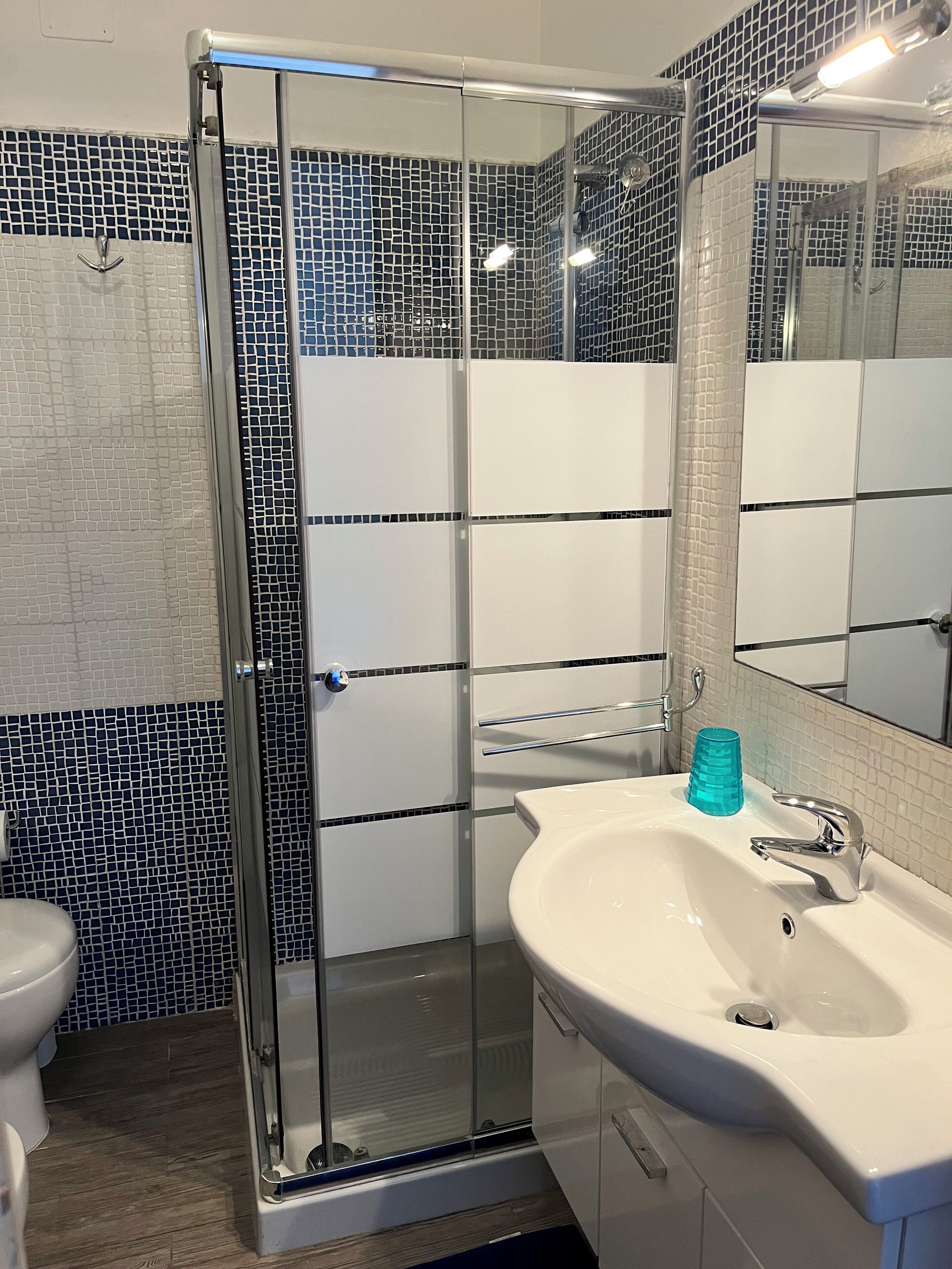 Shower, hair dryer, bidet, towels