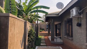 Zona residencial con un sendero de concreto, una antena parabólica y una planta en maceta.