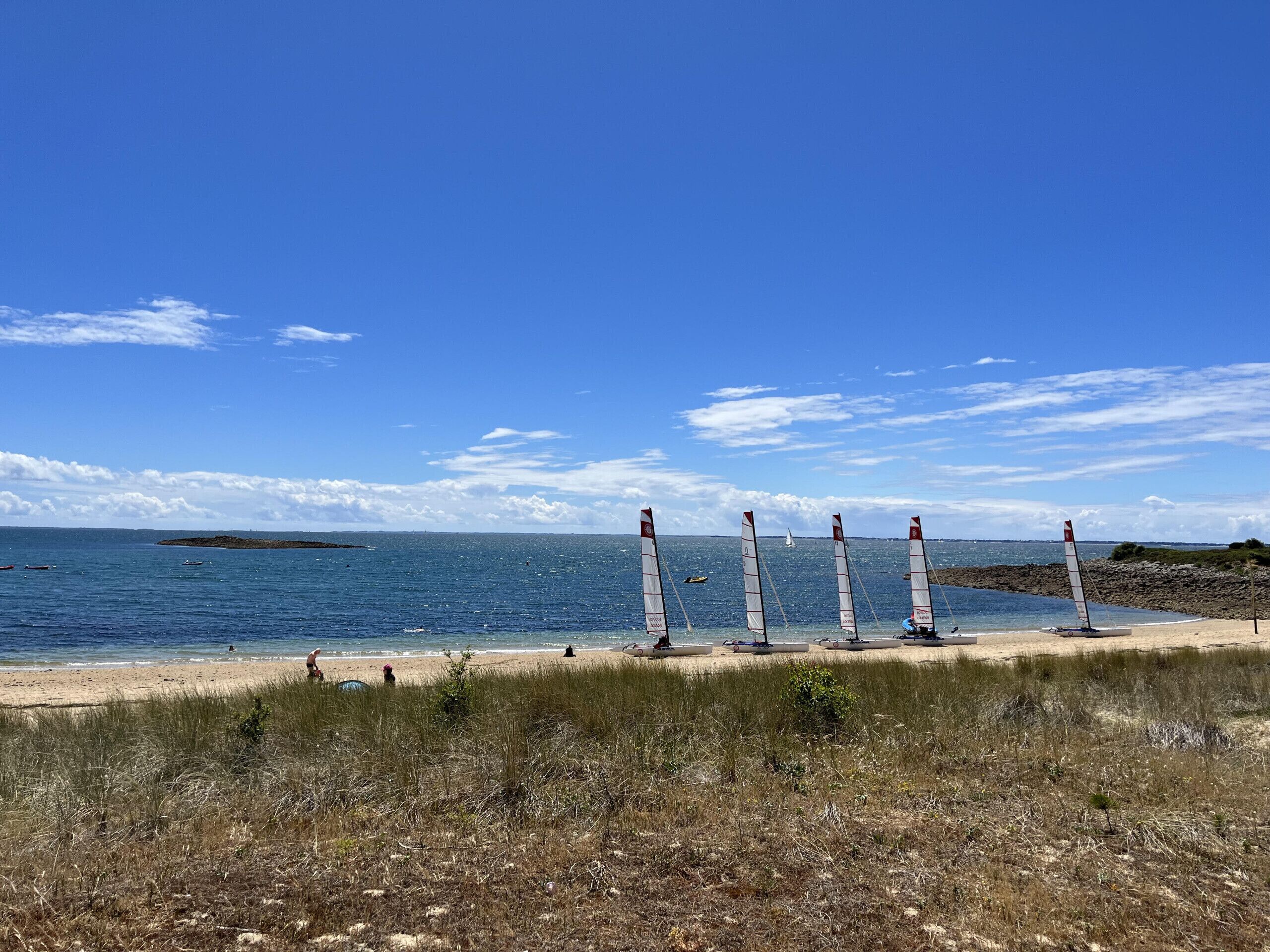 A beach with windsurfing equipment and a clear blue sky.