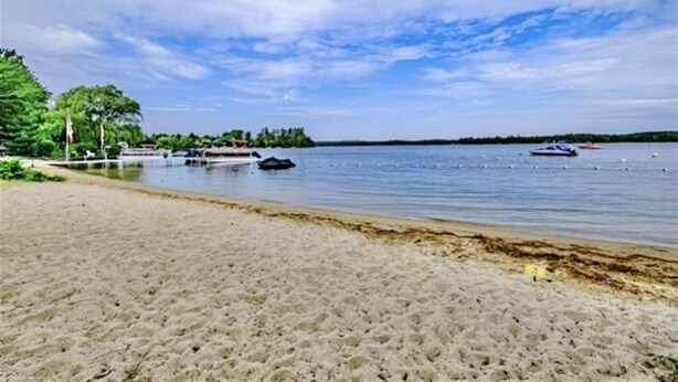 Una playa arenosa con barcos en el agua, árboles y cielo despejado.