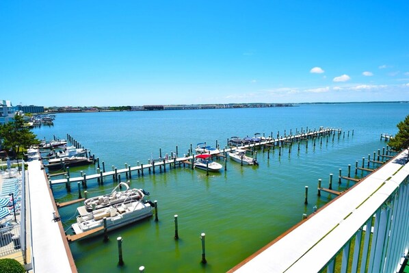 Condo, 2 Bedrooms | Marina - Thunder Island 81b 2 Bedroom Condo by RedAwning (Ocean City)