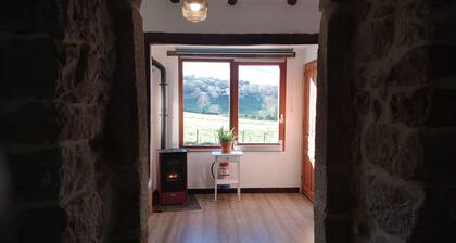 Rustic, spacious apartment in the Valles Pasiegos, with sheep and hens