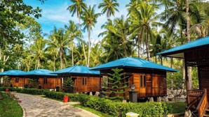 A row of wooden cabins with blue roofs, surrounded by lush greenery and palm trees. - Sansapore Pacific Park Resort (Sausapor)