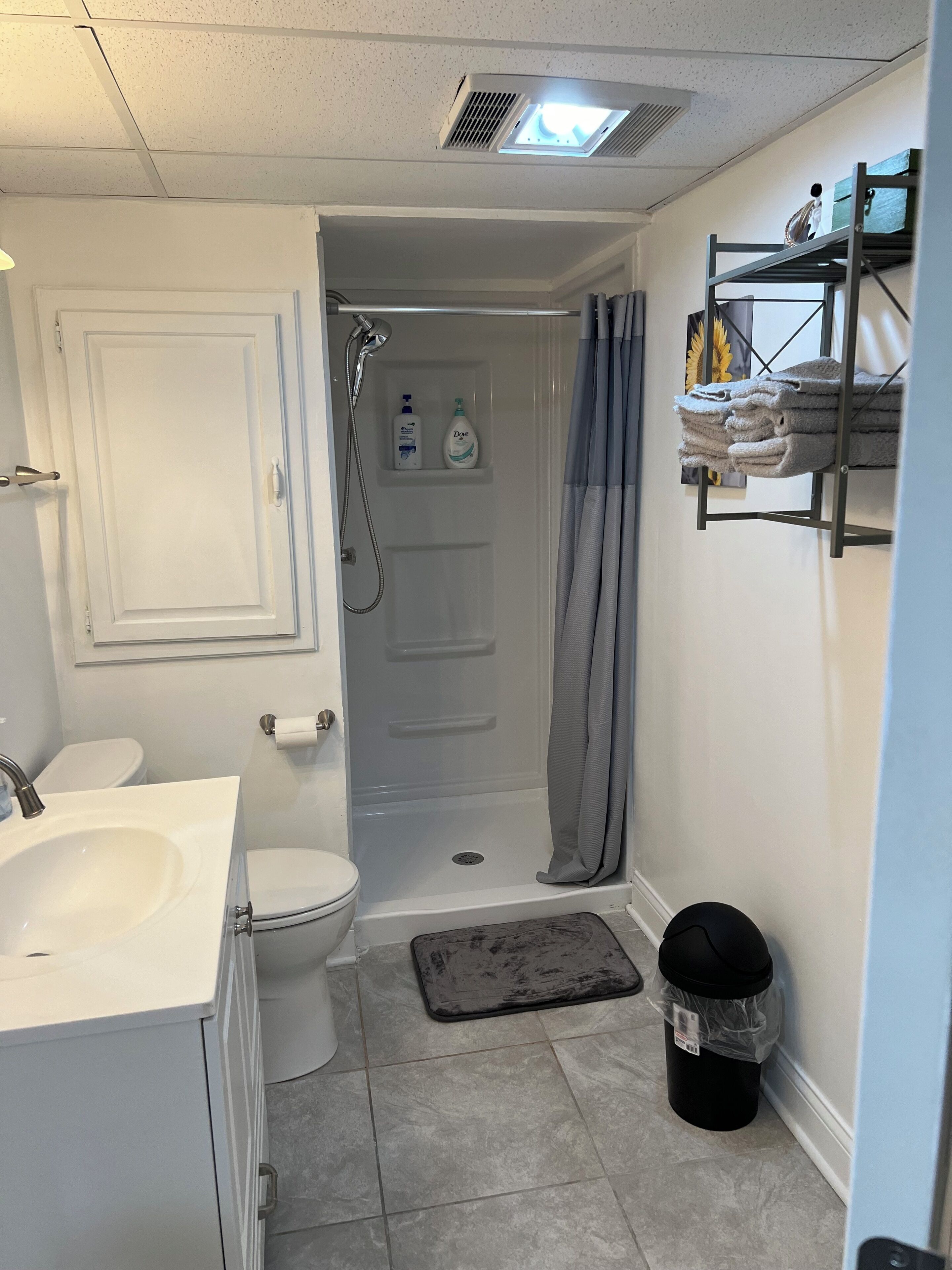 Hair dryer, towels, soap, toilet paper