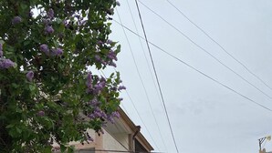 Unclassified image, 5 of 10, button - Gallery Guesthouse Aygestan (Yerevan)