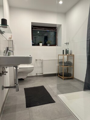 Shower, hair dryer, towels, soap