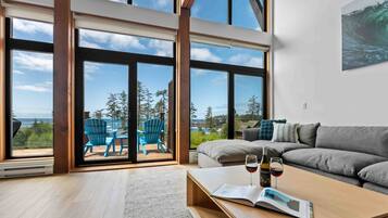 TV connectée, cheminée, livres