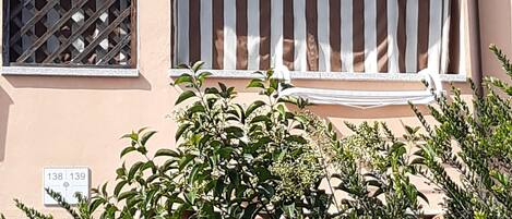 Detalle del exterior
