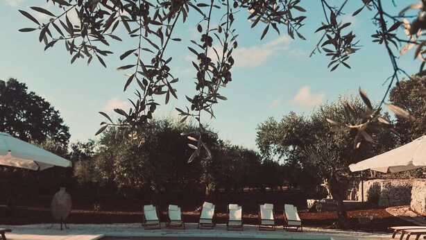 A swimming pool with lounge chairs and a pergola overhead. - Charming masseria fully renovated in 2024  (Monopoli)