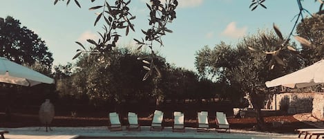 Piscine extérieure