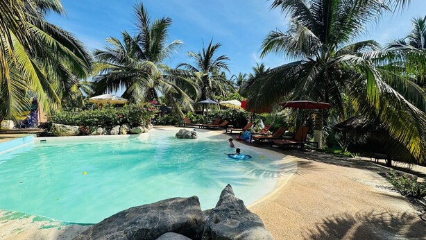 A pool area with clear water, lounge chairs, and palm trees.