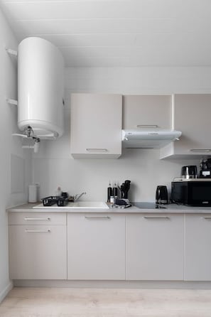 Réfrigérateur, four à micro-ondes, cafetière-théière, grille-pain