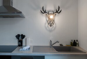 Fridge, microwave, oven, dishwasher - Grand appartement design, 3 chambres, centre-ville (Vichy)