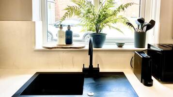 A kitchen with a black sink, a potted plant, and a window with a view of a car and buildings outside.
