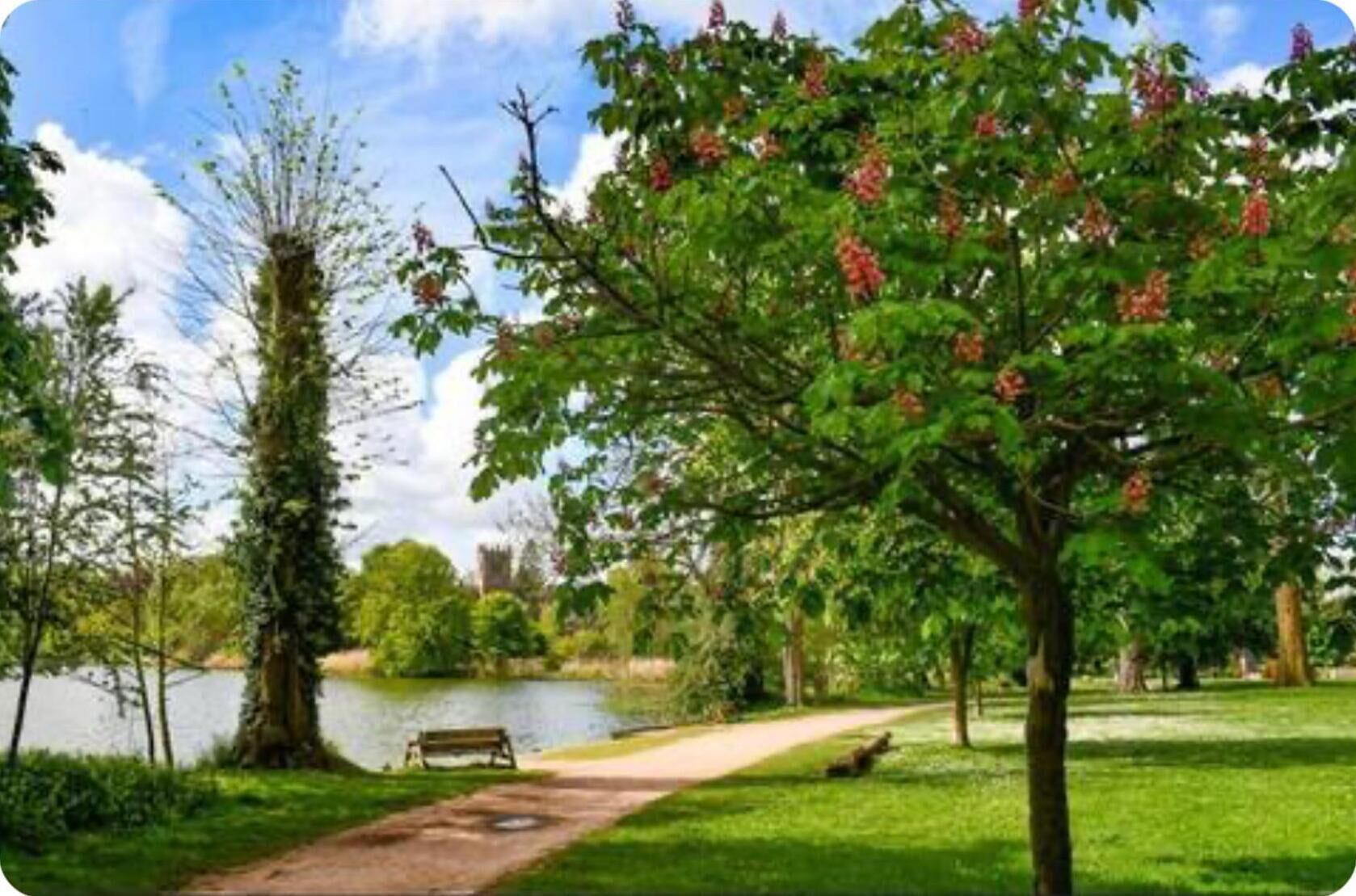 Un parc avec un lac, un banc et un sentier.