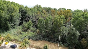 1 bedroom - Studio Sea View in Durres Plazh Area (Durrës)