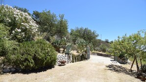 A dry, gravel path leading through a landscaped area with various shrubs and trees, including a prominent white flowering tree. - Villa Roccella Ionica, Sea View, a c (Roccella Ionica)