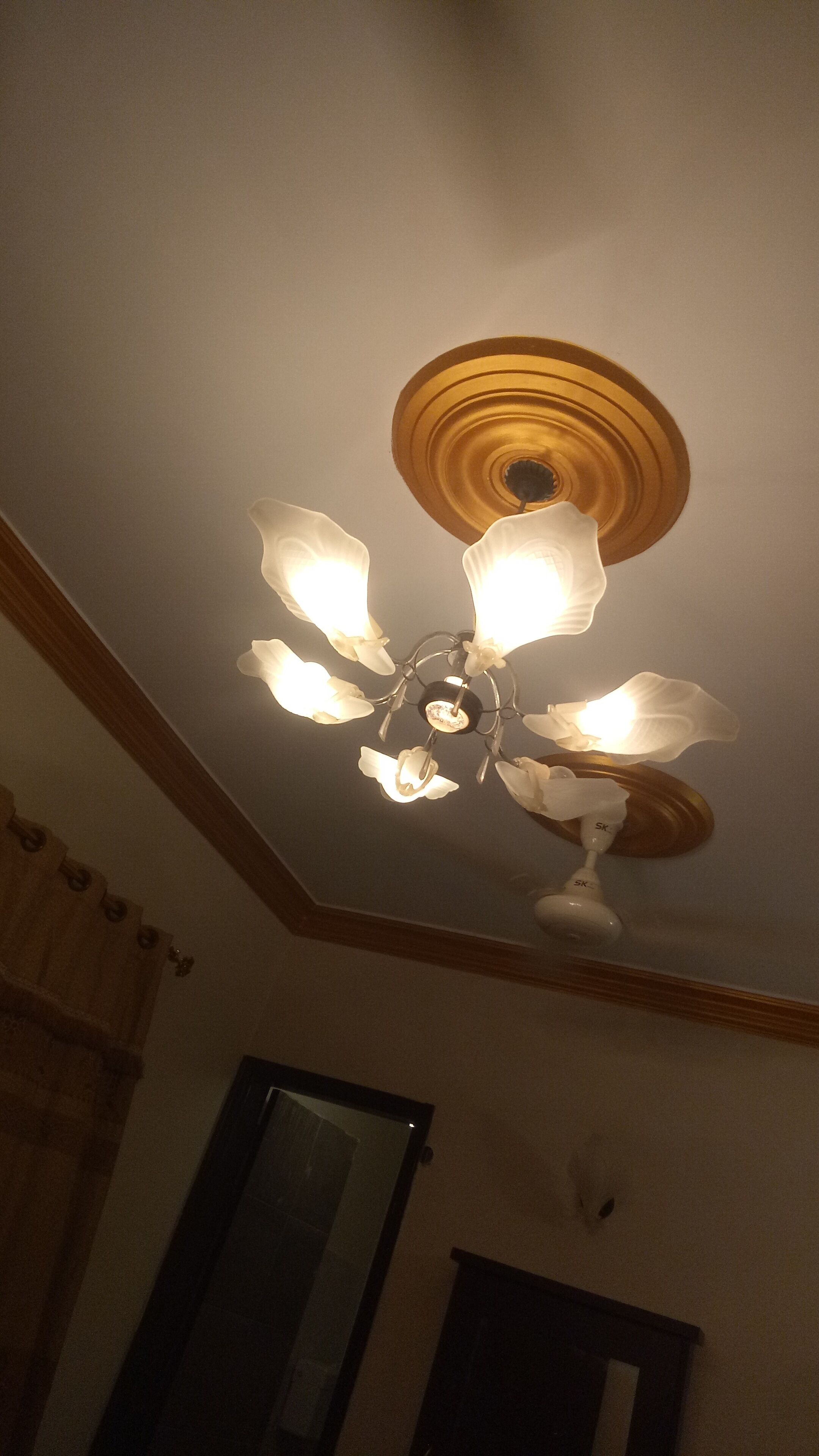 A ceiling fan with a central light fixture in a room with wooden trim and a door.