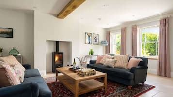 Télévision, cheminée, espaces bureaux