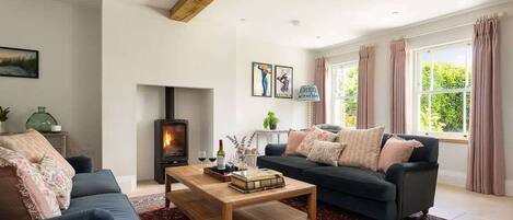 Télévision, cheminée, espaces bureaux