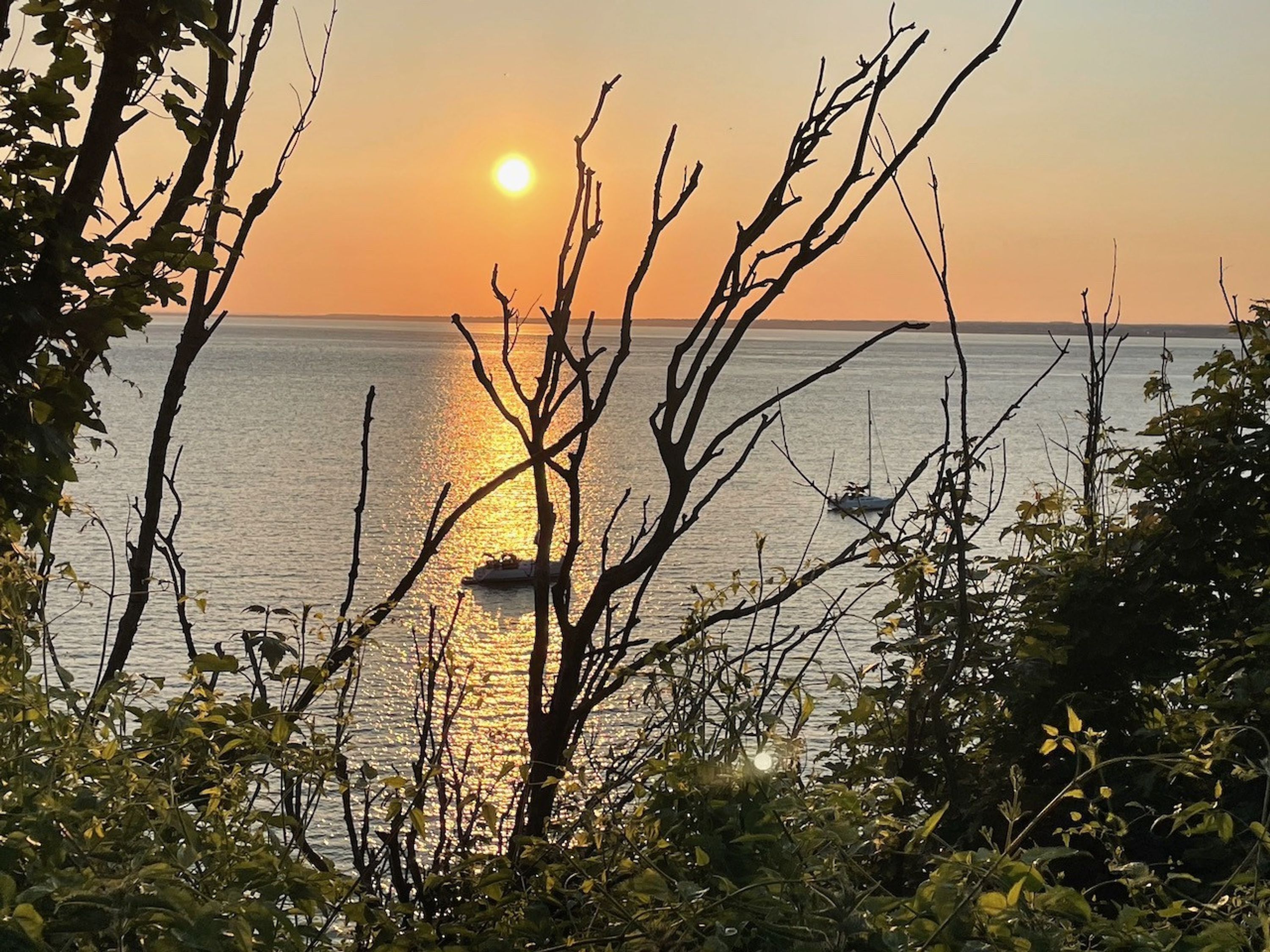 A sunset over a calm sea with boats, surrounded by dense foliage.