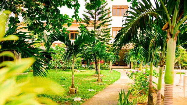 A pathway leading to a building with a tiled roof, surrounded by lush greenery and palm trees. - Pousada da Mércia (Salvador)