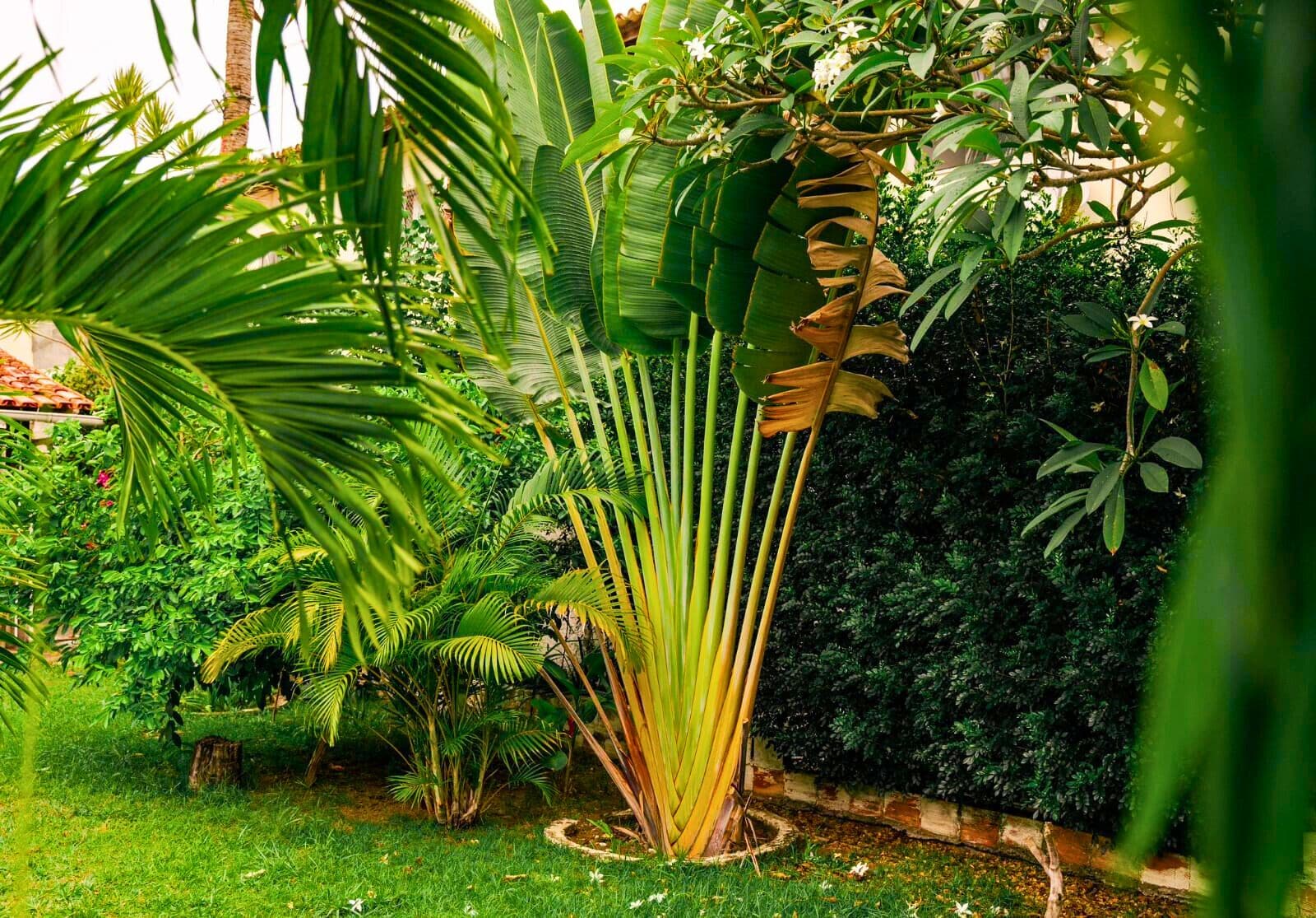 Foto - Pousada da Mércia - Itapuã (BA)