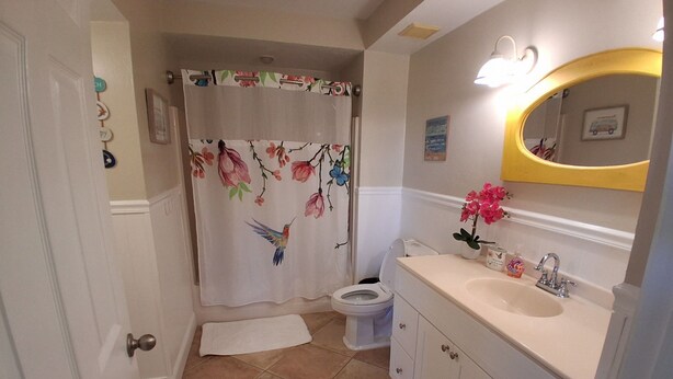 Un bagno con WC, lavandino e tenda per la doccia.