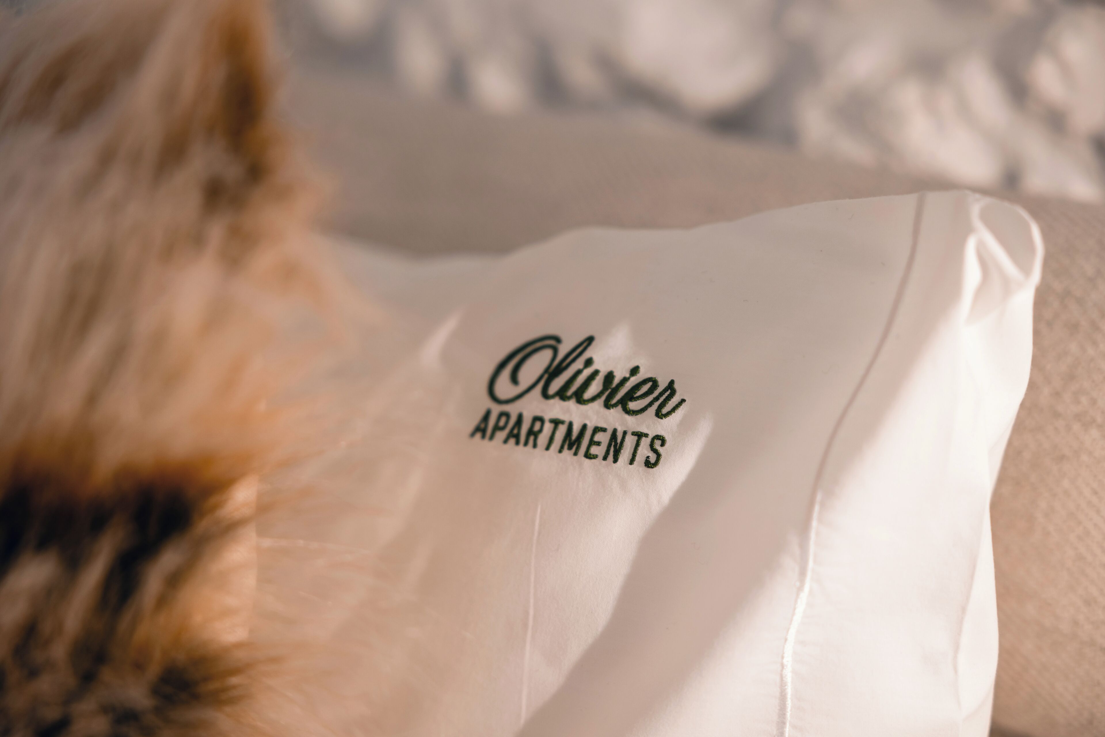 A white pillow with "Olivier Apartments" embroidered on it.