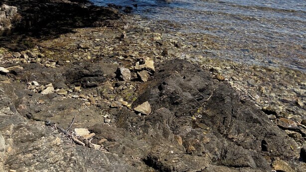 A rocky shoreline with clear water and a sailboat in the distance. - Appartement 70m2 Climatisé à Saint Aygulf (frejus)