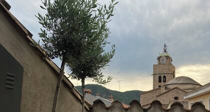 Apartment with two magnificent terraces for 2-3 people