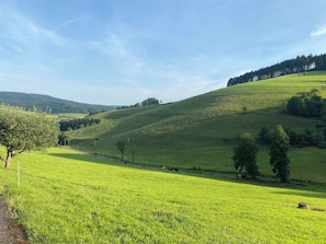 A green field with a road and a tree. - Room-double Room Linden Blossom (Schuttertal)