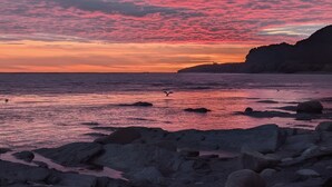 A coastal sunset with rocky terrain and a bird in flight. - The Candlelight Inn (Rocky Harbour)