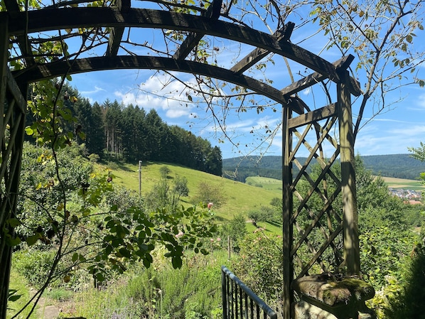 Chambre, 1 chambre, patio | Enceinte de l’hébergement