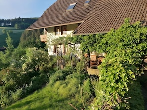 Room, 1 Bedroom, Patio | Exterior - Room-double Room Apple Blossom (Schuttertal)