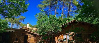 Chalet 'Cap Ferret Villa Grand  Bois' with Private Pool