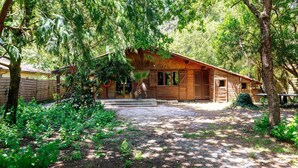 Une cabane en bois dotée d’un porche, entourée d’une végétation luxuriante et d’arbres.