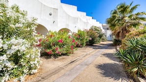 A pathway leading to a white building with arches, surrounded by flowering plants and a palm tree. - Studio with Terrace Steps from the Beach in La Grande Motte – Renovated 2026 (La Grande-Motte)