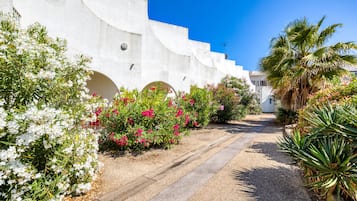Un camino que lleva a un edificio blanco con arcos, rodeado de plantas en flor y una palmera.