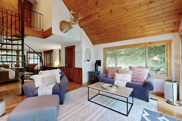 Televisión, chimenea y libros 