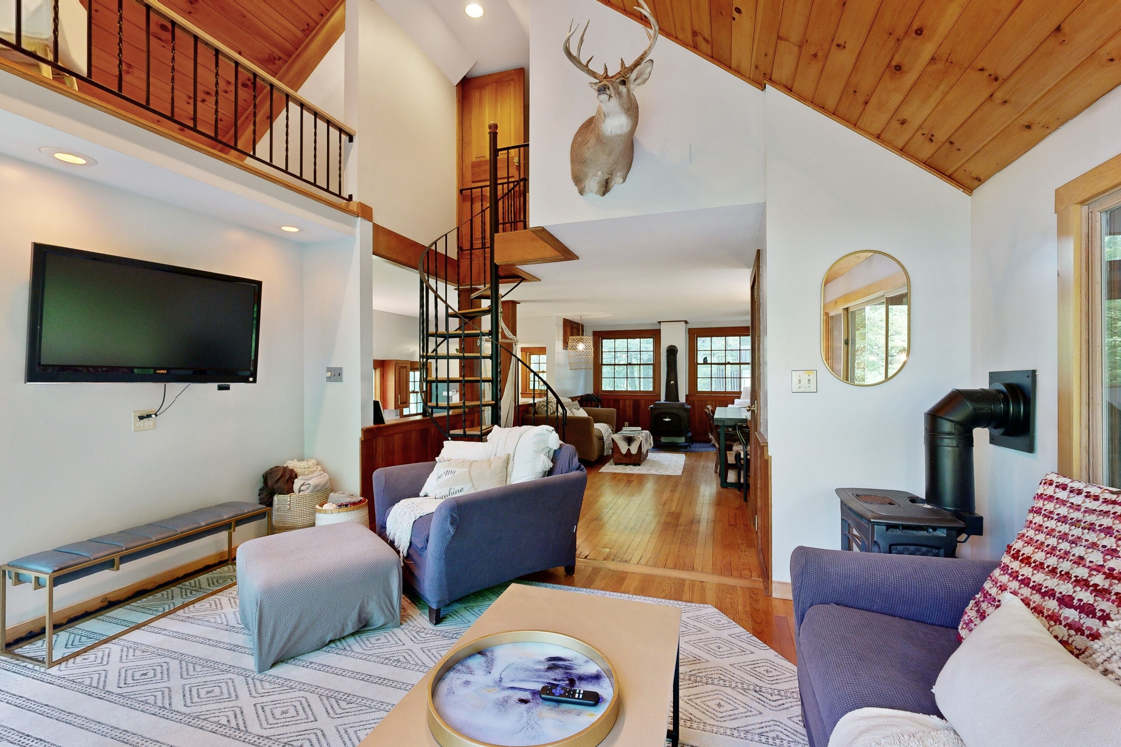 TV, fireplace, books