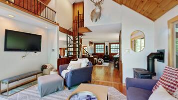 TV, fireplace, books