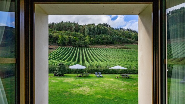Blick aus dem Fenster auf eine Wiese mit Feldreihen, einem Picknicktisch und zwei Sonnenschirmen.