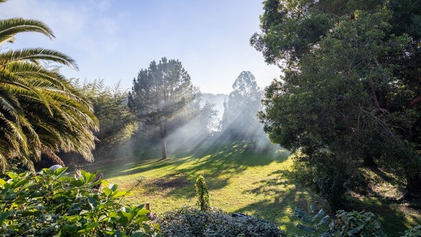 A lush garden with a variety of trees and a clear sky. - Holiday Home 'O Axouxere' with Mountain View, Private Terrace and Wi-Fi (Feira do Tres)