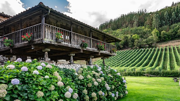 Eine Holzhütte mit Balkon, umgeben von üppigem Grün und einem Weinberg.