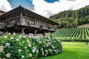 A wooden chalet with a balcony, surrounded by lush greenery and a vineyard.