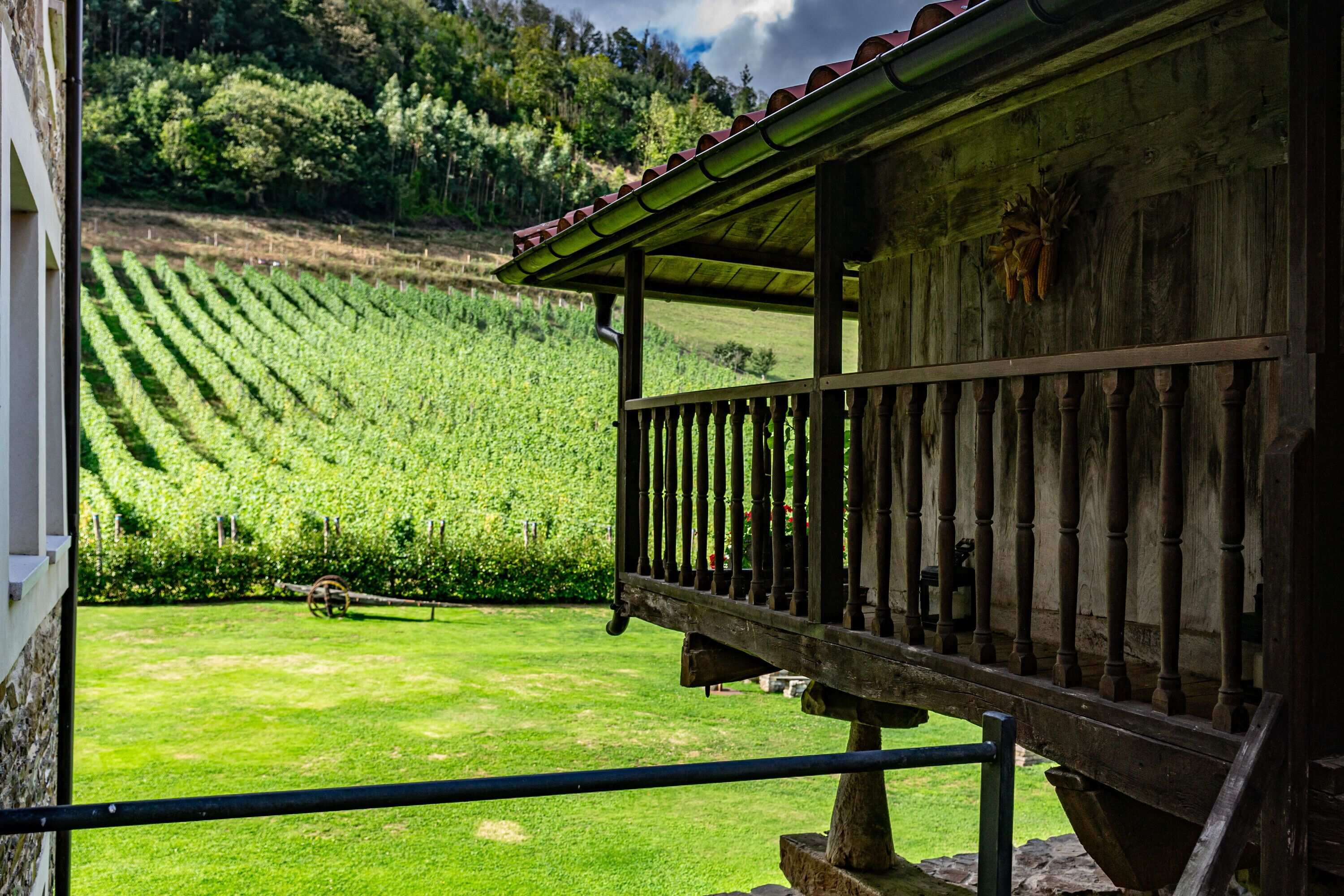 Terrein van de accommodatie