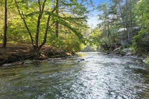 Property grounds - Riverside Luxury: Hot Tub, Fire Pit & Fishing Dock! Game Room, Fireplace! (Ellijay)